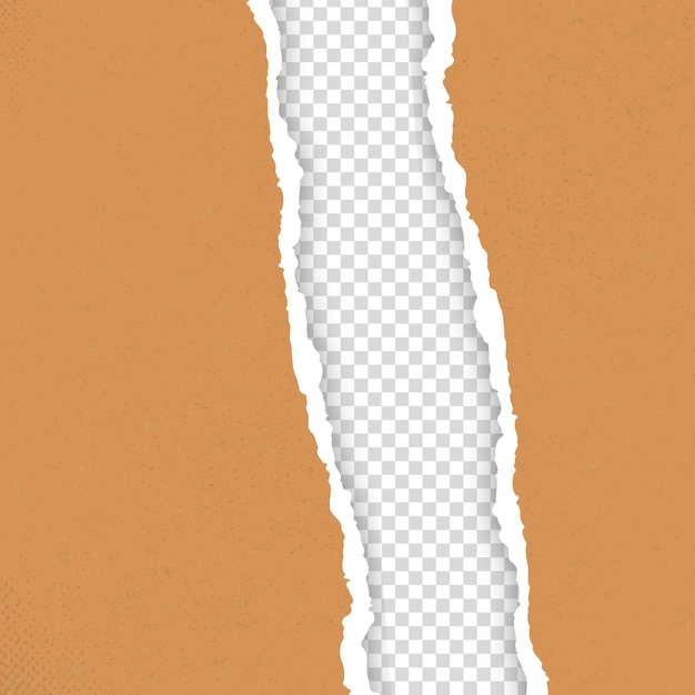 ripped and torn paper on transparent background