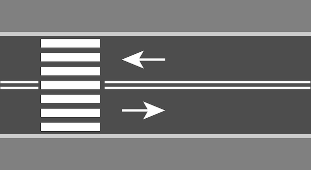 Road with asphalt from above vector with pedestrians and direction arrows