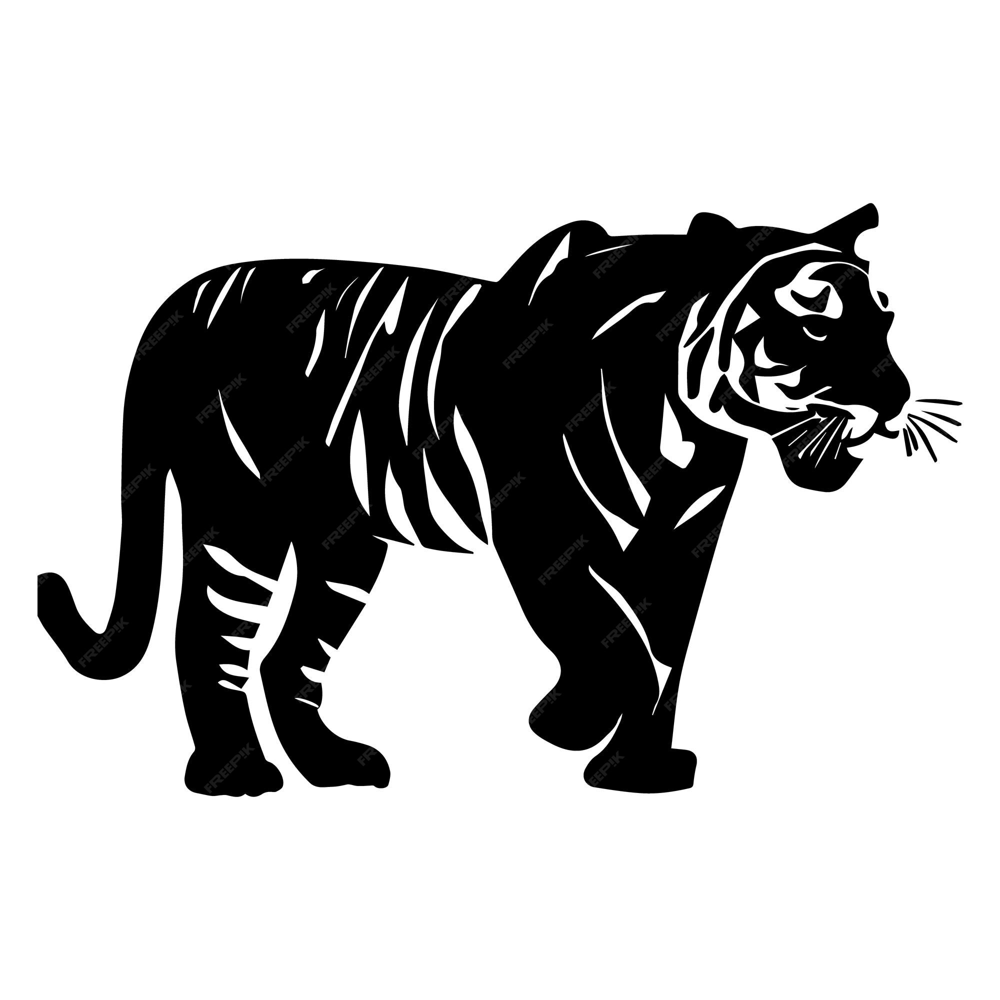 Vector Illustration Depicting a Tiger. Line Silhouette, Black and White,  Color. Stock Illustration - Illustration of roaring, monochrome: 76409599