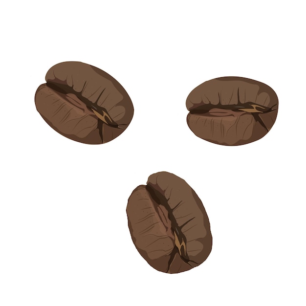 Roasted coffee beans isolated on white background Vector illustration