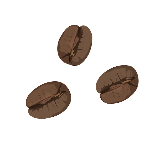 Roasted coffee beans isolated on white background Vector illustration