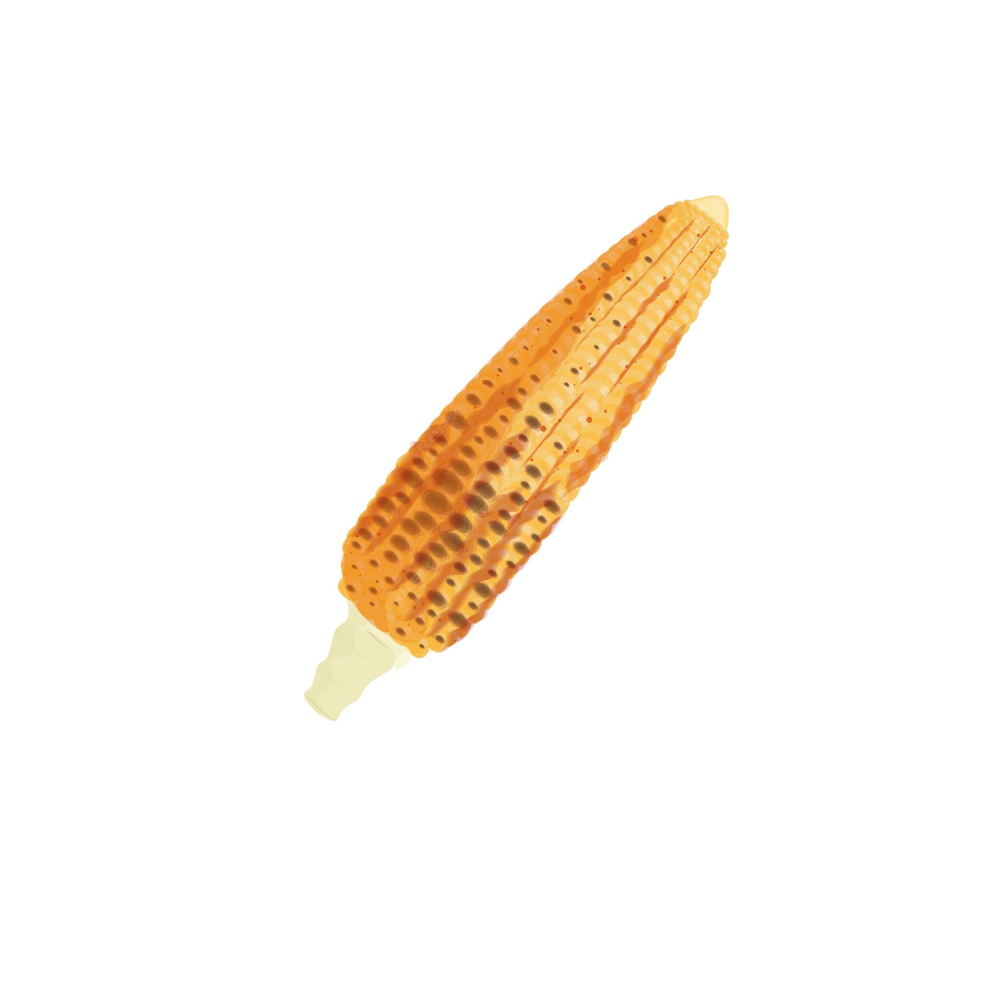 Premium Vector | Roasted corn simple illustration logo on white background