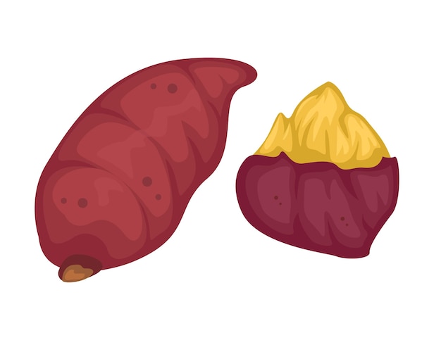 Roasted Sweet Potato Food Cartoon illustration Vector