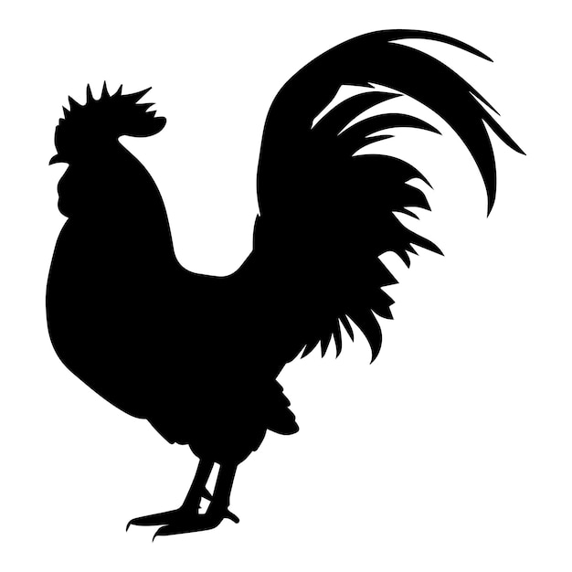 a roaster vector silhouette