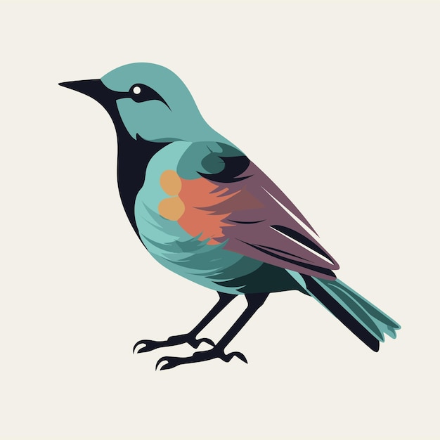 Vector robin bird concept illustration