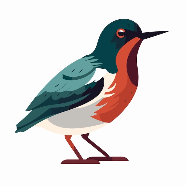 Vector robin bird concept illustration