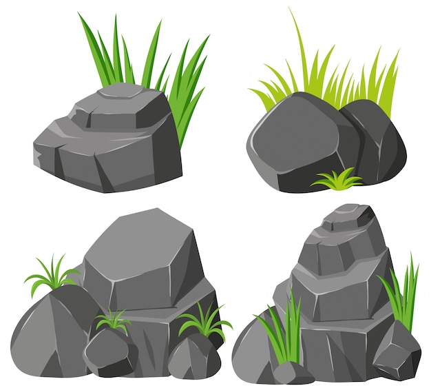 Rocks and grasses on white background