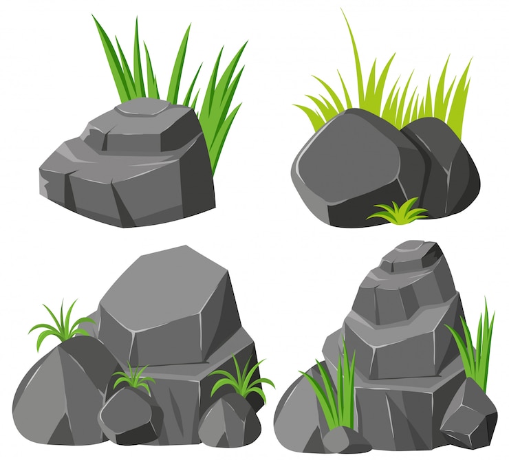 Vector rocks and grasses on white background