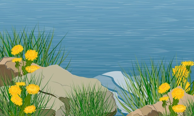 Rocky seashore with grass and yellow flowers Break above the water Realistic vector landscape