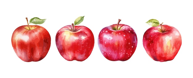 Rode appel aquarel geïsoleerd op witte achtergrond Set van gezonde fruit appels vector illustratie