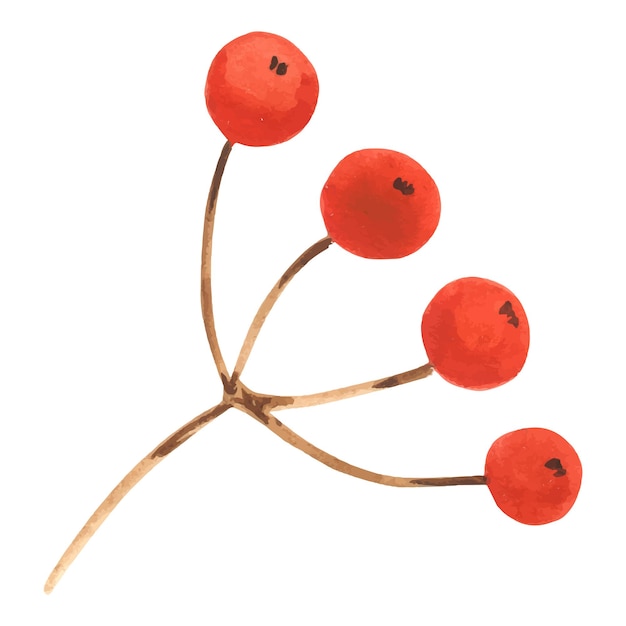 Rode bessen op boomtak stam herfst ontwerpelement Kerst winterberry