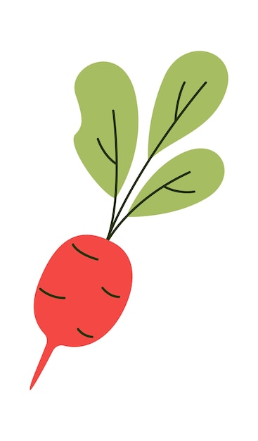Rode biet platte icoon Gezonde biologische landbouw groente