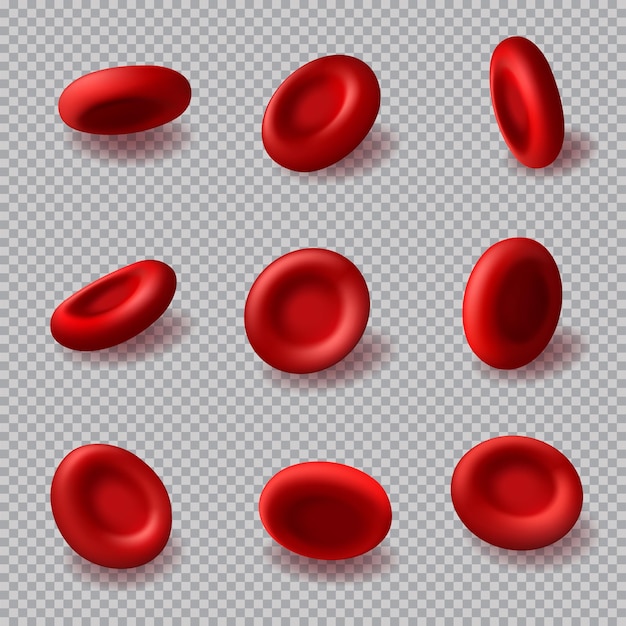 Rode bloedcellen 3D-vector hemoglobine hematologie