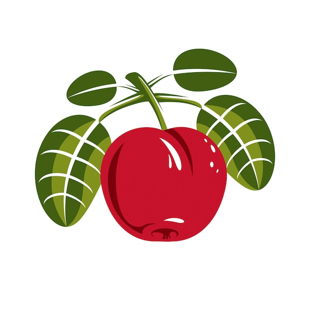 Rode eenvoudige vectorkers met groene bladeren, rijpe zoete bessenillustratie. gezond en biologisch voedsel, oogstseizoensymbool.