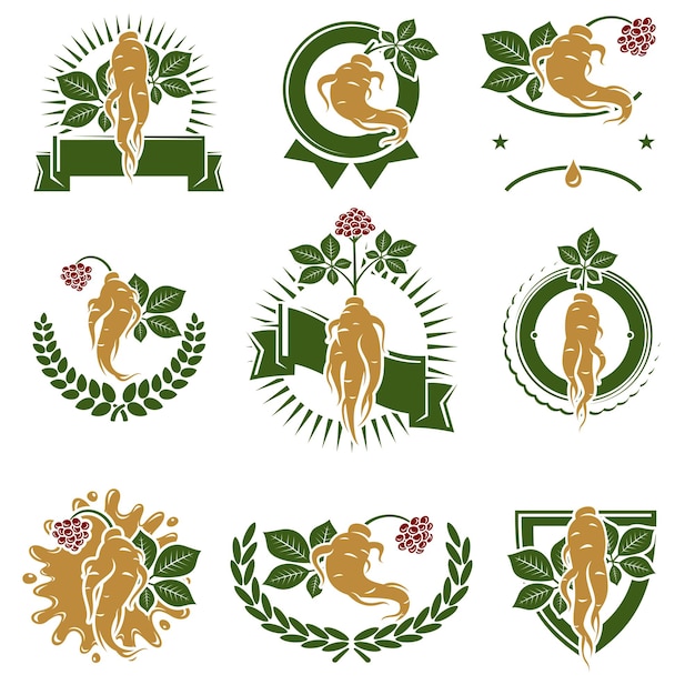 Rode ginseng label en icon set collectie icoon rode ginseng vector
