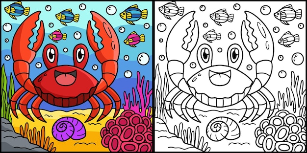 Vector rode jamaicaanse krab kleurplaat illustratie