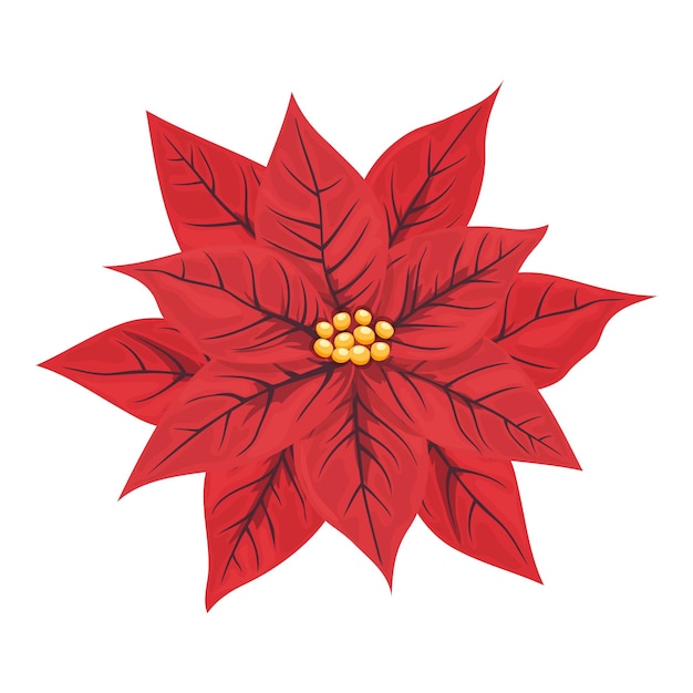 Vector rode kerst- of nieuwjaarspoinsettiabloem geïsoleerd bloemdecoratie voor groetekaartjes