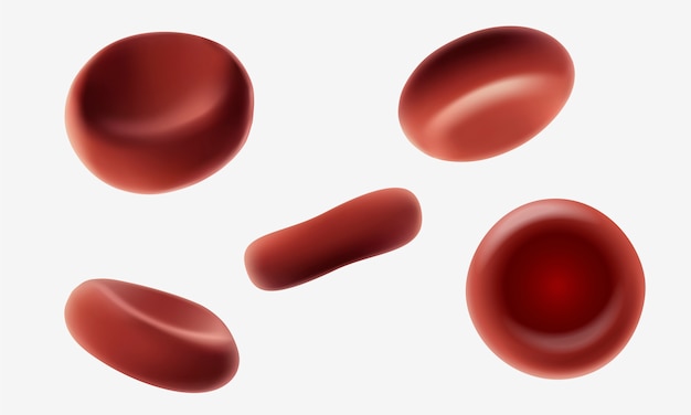 Rode menselijke bloedcellenerytrocieten die macro dicht omhoog 3d realistische medische illustratie stromen