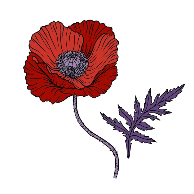 Rode papaver bloem papaver stengel en blad elementen voor anzac dag ontwerp hand getrokken lijn kunst schets vectorillustratie geïsoleerd op witte achtergrond