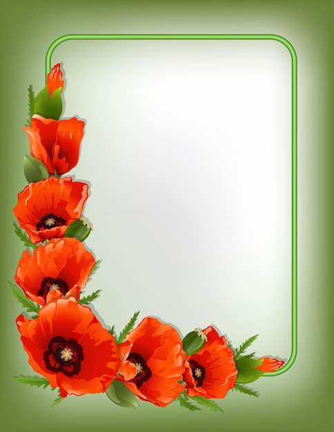 Vector rode papavers bloemen frame vector