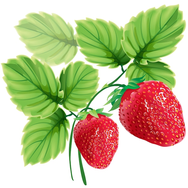 Rode rijpe aardbeien met groene bladeren