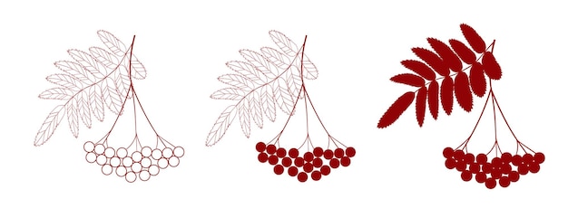 Rode rijpe rowan bessen bos met bladeren vectorillustratie op witte achtergrond