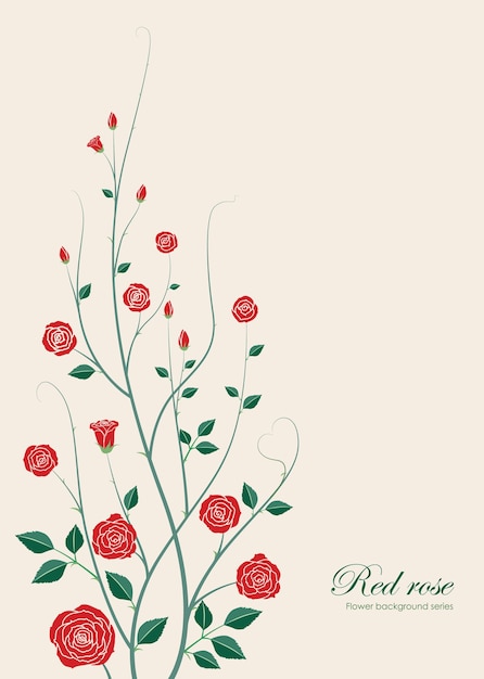 Rode roos bloem illustratie