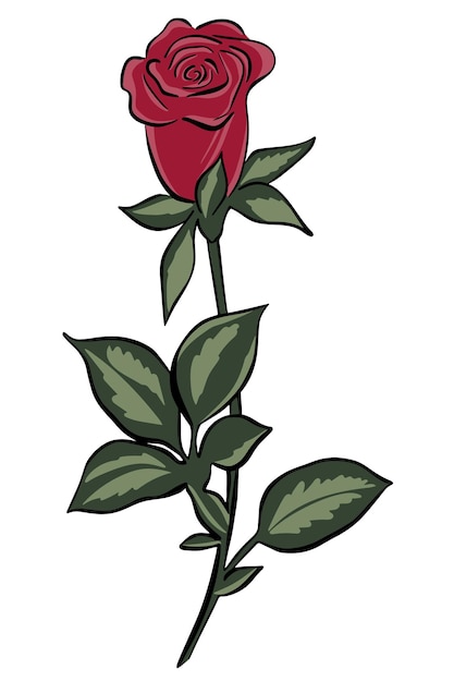 Rode roos op stengel bloem vector geïsoleerde illustratie