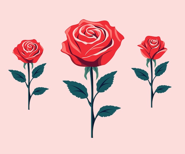 rode rozen plat gezet illustratie