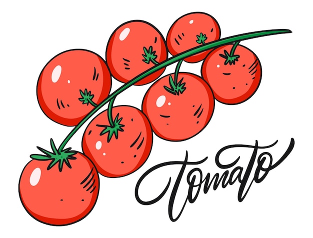 Rode tomaten op een tak.