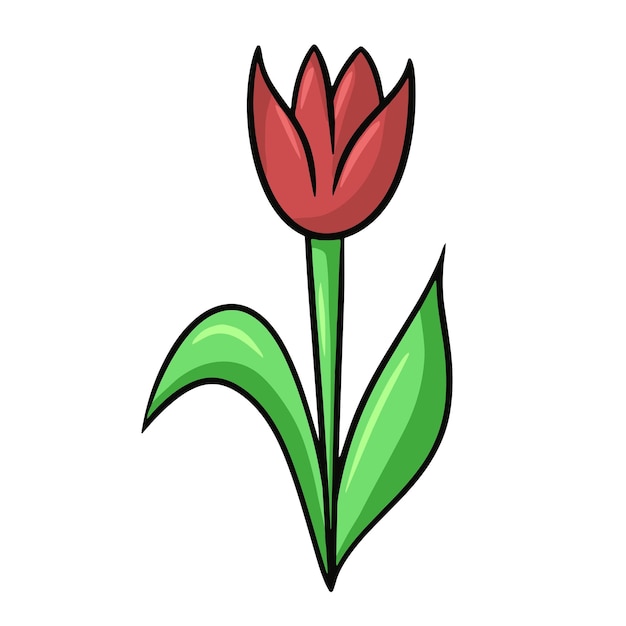 Vector rode tulp bloem met bladeren doodle vector cartoon