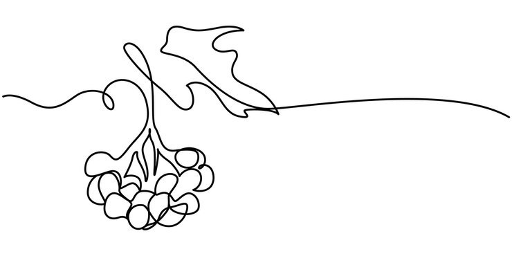 Vector rode viburnum eenvoudige kleur vector illustratie oekraïense bessen een continue lijn kunst tekening