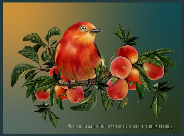 Vector rode vogel met fruit
