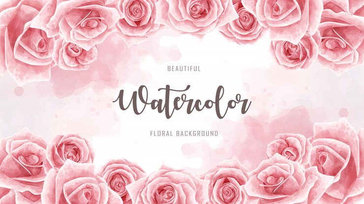 Vector rode waterverf rose flower achtergrond