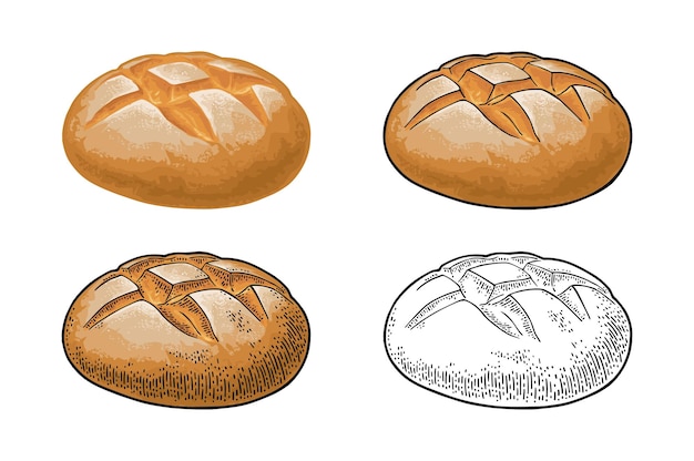 Roggebrood Vector kleur hand getekende realistische afbeelding