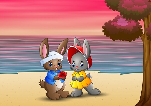 Romantic of loving rabbit couple on beach