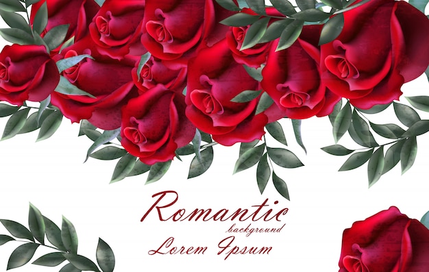 Vector romantic roses card