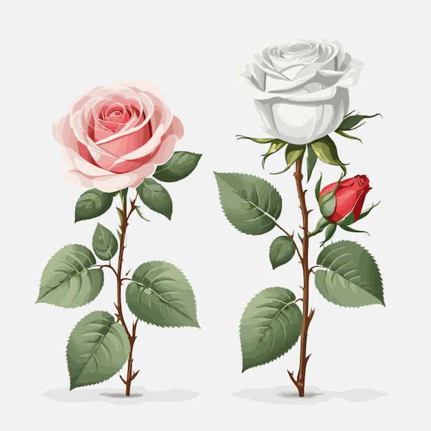 Vector romantic roses vector