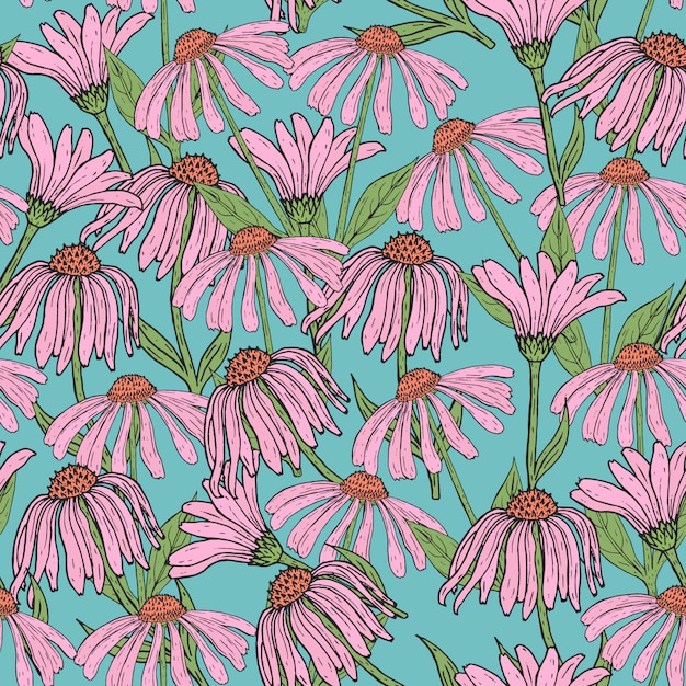 Romantisch bloemen naadloos patroon met mooie echinaceabloemen, stengels en bladeren op blauwe achtergrond. bloeiende kruid hand getrokken in antieke stijl. illustratie voor behang, inpakpapier.