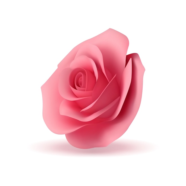 Romantische helder roze roze bloem bloei natuurlijke knop 3d pictogram realistische vectorillustratie