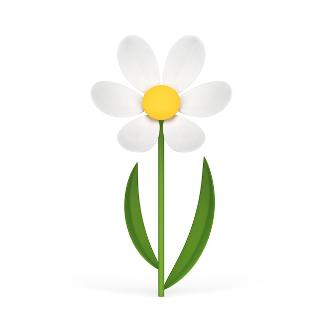 Romantische kamille natuurlijke verse bloem zomer lente floristische biologische plant d icoon vector