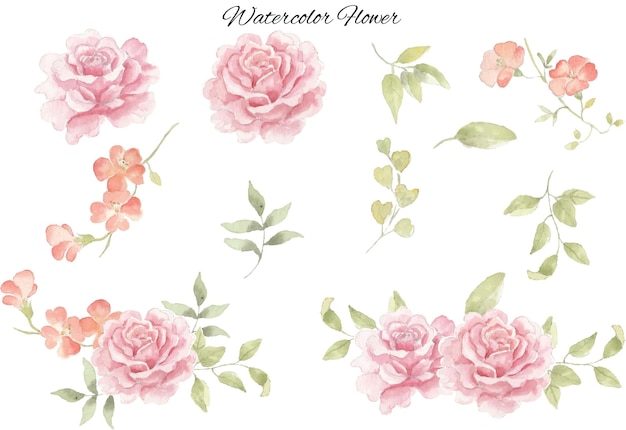 Romantische Rose aquarel bloem illustraties