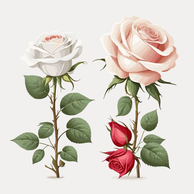 Romantische rozen vector