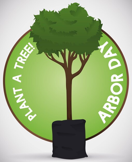 Ronde knop met boomboom in een zaailingenzak klaar om te worden geplant bij de viering van Arbor Day