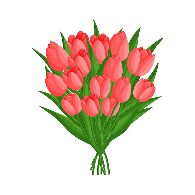 Rood boeket tulpen bloemen Lente bloeiende vectorillustratie voor vrouwendag Moederdag Pasen en andere feestdagen Floral geïsoleerd ontwerp voor ansichtkaart poster advertentie decor stof en andere