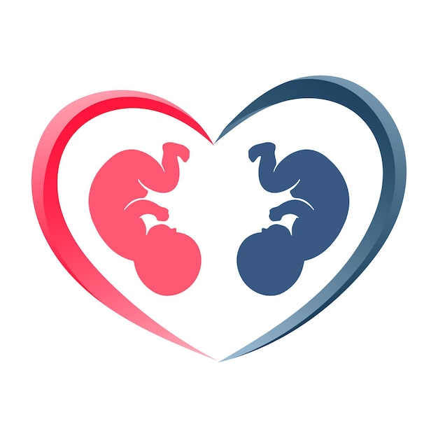 Rood en blauw symbool van een pasgeboren foetus in een hart. Pasgeboren icoon, sticker, ansichtkaart, vector