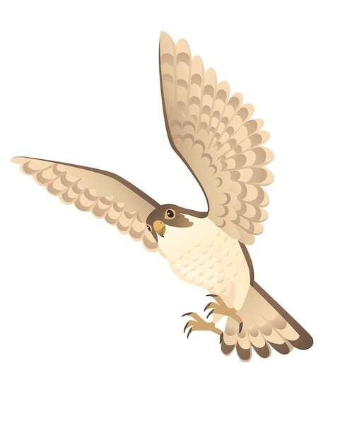 Roofzuchtige vogel schattige volwassen falcon cartoon dier ontwerp roofvogels karakter platte vectorillustratie geïsoleerd op een witte achtergrond