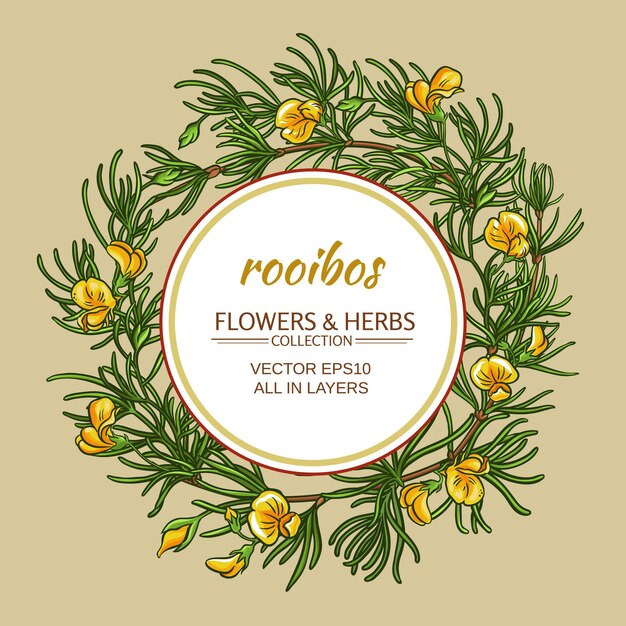 Rooibos vector frame