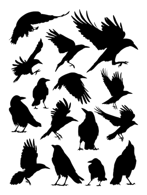 Vector rook, crow, raven silhouette