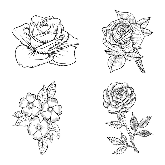 Vector roos bloem lijntekeningen tekenen met blad illustraties